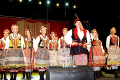Ansamblio-solistas-Andej-Malinovski