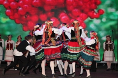 IMG_6397-1