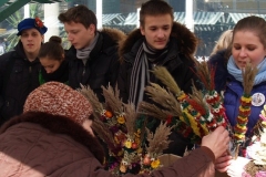 ap3043660_201203041508