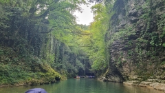 Matvili