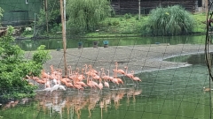Park-Dendrologiczny